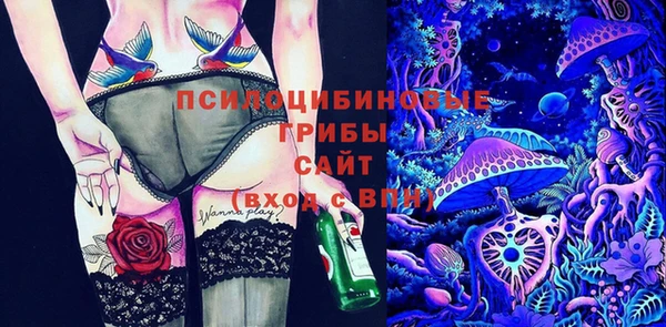 стафф Зерноград