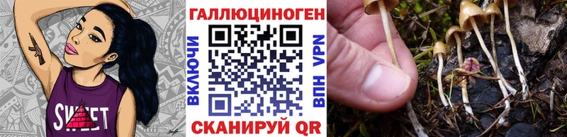 Галлюциногенные грибы Magic Shrooms  купить закладку  Олёкминск 